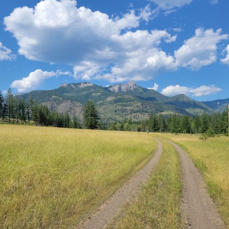 Bikepacking czy sakwy – odwieczne pytanie, na które nie ma dobrej odpowiedzi